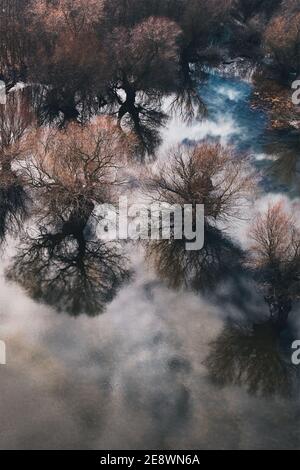 Aerial view of woodland floodplain landscape from drone pov, sunny winter afternoon Stock Photo