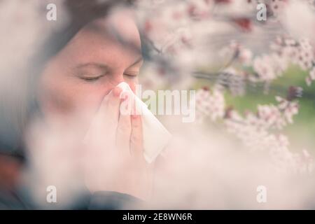 Woman sneezing in front of blooming cherry tree in spring allergy concept, selective focus Stock Photo