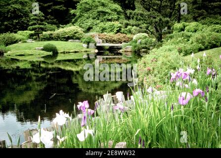 The Asticou Azalea Gardens in Northeast Harbor of Maine are near Acadia National Park on Mt Desert Island. Stock Photo