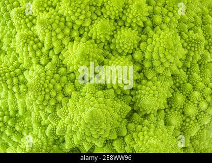 Whole Lot Of White Cauliflower On The Table Background, Cauliflower  Picture, Cauliflower, Food Background Image And Wallpaper for Free Download