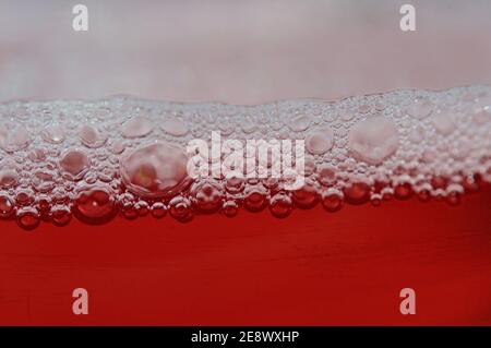 Drops red color in macro view Stock Photo