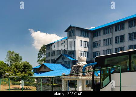 Bulding of the damro tea factory and lounge and tea plantation, Sri Lanka Stock Photo