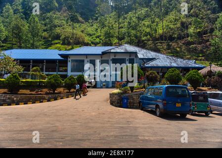 Bulding of the damro tea factory and lounge and tea plantation, Sri Lanka Stock Photo