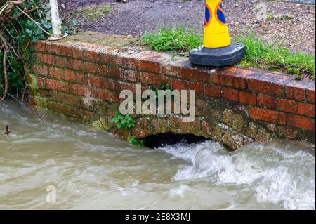 Shiplake, Oxfordshire, UK - 1st February, 2021. Torrents of flood water. A Flood Warning is in place for Shiplake and Lower Shiplake. Property flooding is expected as river levels continue to rise on the River Thames. Further rainfall is forecast for the week ahead. Credit: Maureen McLean/Alamy Live News Stock Photo