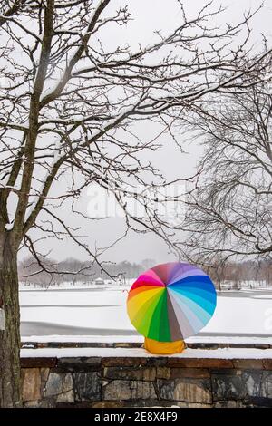 A man carrying a colorful umbrella visits Constitution Gardens during a snowy day in Washington, D.C. Stock Photo