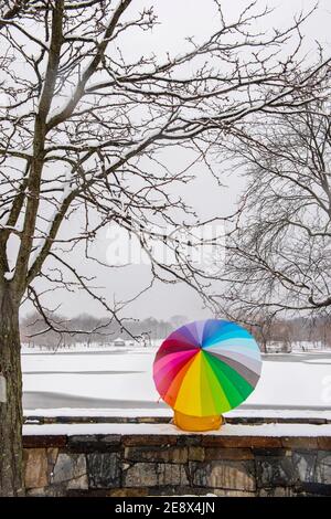 A man carrying a colorful umbrella visits Constitution Gardens during a snowy day in Washington, D.C. Stock Photo