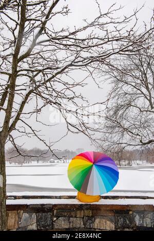 A man carrying a colorful umbrella visits Constitution Gardens during a snowy day in Washington, D.C. Stock Photo