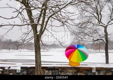 A man carrying a colorful umbrella visits Constitution Gardens during a snowy day in Washington, D.C. Stock Photo