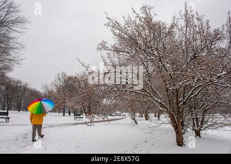 A man carrying a colorful umbrella visits Constitution Gardens during a snowy day in Washington, D.C. Stock Photo