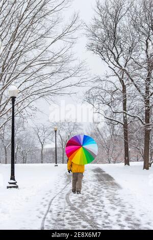 A man carrying a colorful umbrella visits Constitution Gardens during a snowy day in Washington, D.C. Stock Photo