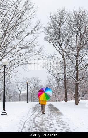 A man carrying a colorful umbrella visits Constitution Gardens during a snowy day in Washington, D.C. Stock Photo