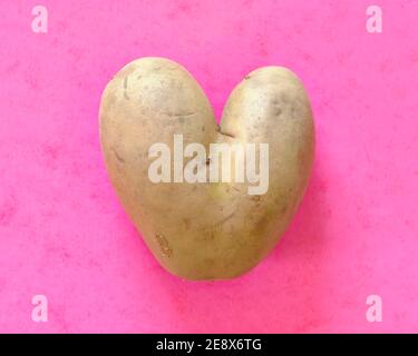 Heart shaped misshapen potato on pink Stock Photo