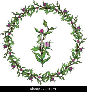 Card template. Pale pink roses and peonies with gray leaves on a striped pink background. Vector illustration. Stock Vector