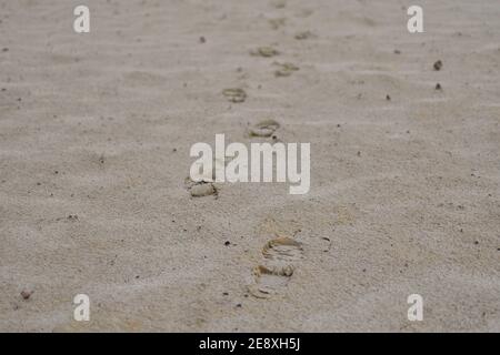 Lonely footprints in the sand dunes disappearing into the distance close to Nuland, Netherlands Stock Photo