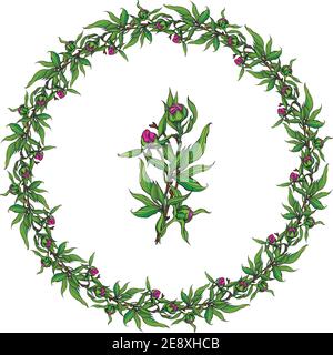 Card template. Pale pink roses and peonies with gray leaves on a striped pink background. Vector illustration. Stock Vector