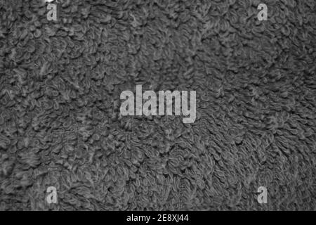 Grey carpet background and texture. Design element. Stock Photo