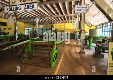 Interior of the Damro Tea factory in Sri Lanka Stock Photo