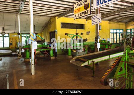 Interior of the Damro Tea factory in Sri Lanka Stock Photo