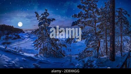 Magic winter night in a snowy sea coast surrounded by covered in snow fir trees with full moon in a starry sky. View of forest against night sky with Stock Photo