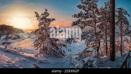 Snowy landscape at sunset, frozen and covered in snow trees in winter Stock Photo