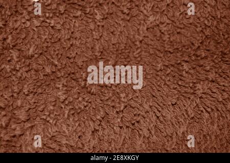 Brown carpet background and texture. Design element. Stock Photo