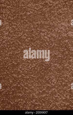 Brown carpet backgrounds and texture. Design element Stock Photo
