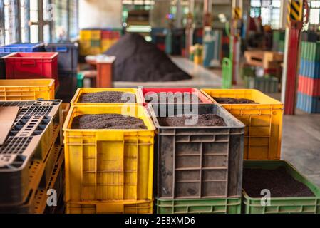 Interior of the Damro Tea factory in Sri Lanka Stock Photo