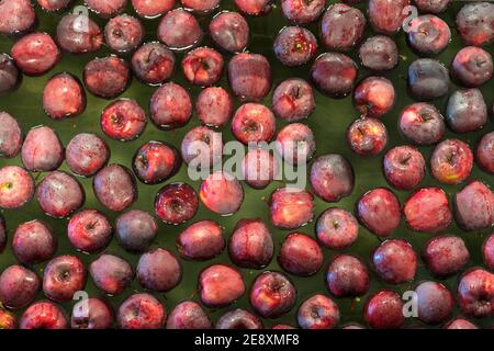 Red apples floating in water during the washing process, full frame, Valtellina, Sondrio province, Lombardy, Italy Stock Photo
