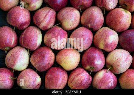 Apples ready for selling seen from above, Valtellina, Sondrio province, Lombardy, Italy Stock Photo