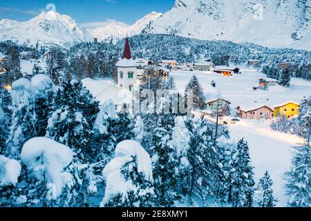 Frozen trees in the snowy landscape surrounding Chiesa Bianca at dusk, Maloja, Bregaglia, Graubunden, Engadin, Switzerland Stock Photo