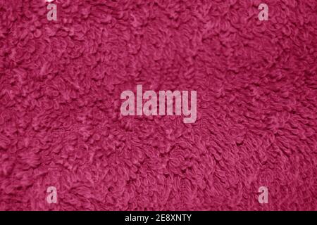 Magenta carpet background and texture. Design element. Stock Photo