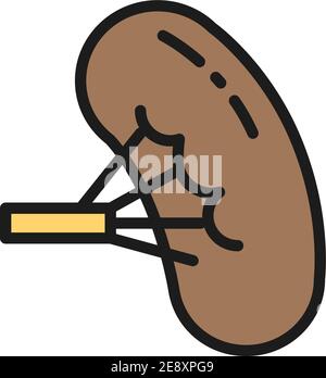 Spleen, human organ flat color line icon. Isolated on white background Stock Vector