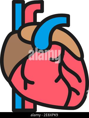 Heart, artery, vein, human organ flat color line icon. Stock Vector