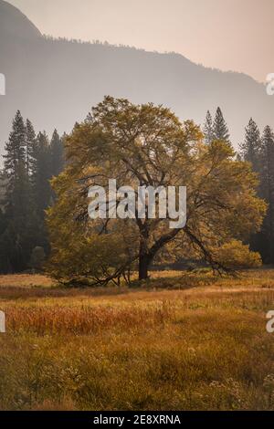 Beautiful fall season in Yosemite National Park, California, USA Stock ...