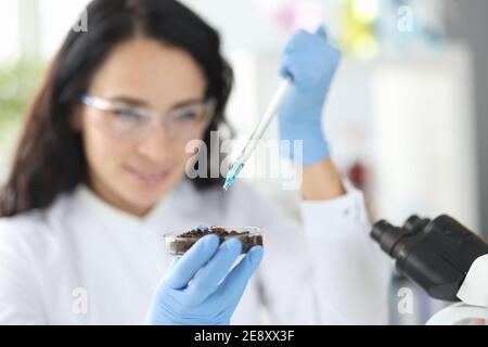 Female scientist dripping liquid from pipette into petri dish with soil Stock Photo