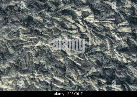 Texture of long hair carpet in dark blue, fur texture closeup for designers Stock Photo