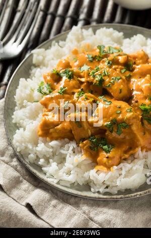 Homemade Mango Coconut Curry Chicken with White Rice Stock Photo