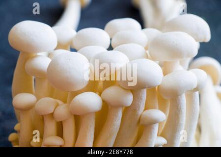 White Asian Enoki mushroom, raw vegan food, fungus Stock Photo