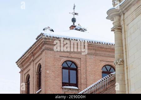 three white storks and a nest in the snowy covered roof of the tower of major college of san pedro and san pablo in the city of alcala de henares Stock Photo