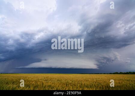 Dramatic storm clouds over a wheat field as a severe thunderstorm approaches Alva, Oklahoma, USA Stock Photo