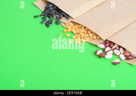 Vegetable seeds in kraft paper bags on bright background. Studio Photo Stock Photo