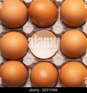 Brown fresh chicken eggs and one broken eggshell in carton box. Closeup natural organic egg pattern. Healthy farm real food. Top view, flat lay Stock Photo