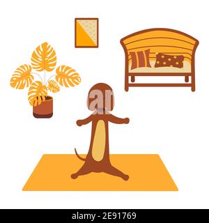 Dachshund practices yoga and meditates standing on yoga mat. Yoga dog, relaxation and sports. Painting on the wall, Monstera in a pot stands on the fl Stock Vector