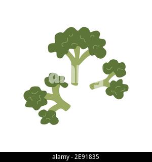 Broccoli set. Vector illustration in cartoon style. Hand drawn. Natural vegetable food Stock Vector