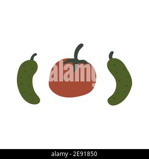 Cucumbers and tomato. Set for salad. Green and red vegetables. Colorful vector illustration in cartoon style isolated on white background. Healthy Veg Stock Vector