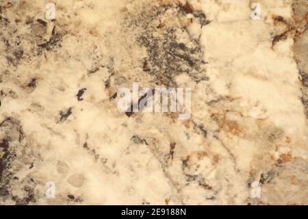 Pale beige agate with black veins, close-up of natural stone texture. Background, template, blank. Stock Photo