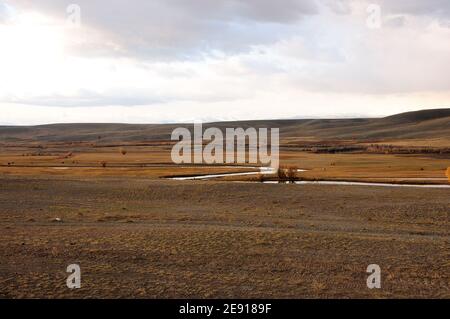 Rare bushes on the banks of a meandering river flowing through a hilly valley in autumn. Chuya steppe, Altai, Siberia, Russia. Stock Photo