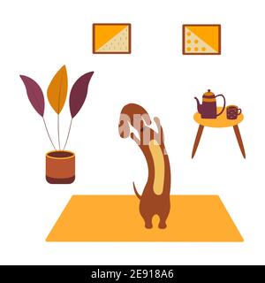 Dachshund practicing yoga side bending on yoga mat. Yoga dog, relaxation and sports. Table with kettle and cup of tea. On the wall hang two paintings, Stock Vector