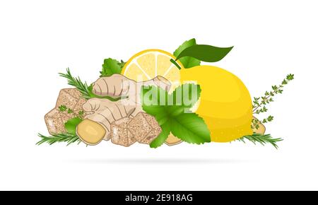 Ginger root slices, lemon, mint leaves, thyme and cane sugar. Vector illustration on white background. Natural home remedies, cold and flu treatment. Stock Vector