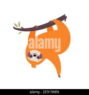 Cute hand drawn sloth hanging on the tree. Stock Vector
